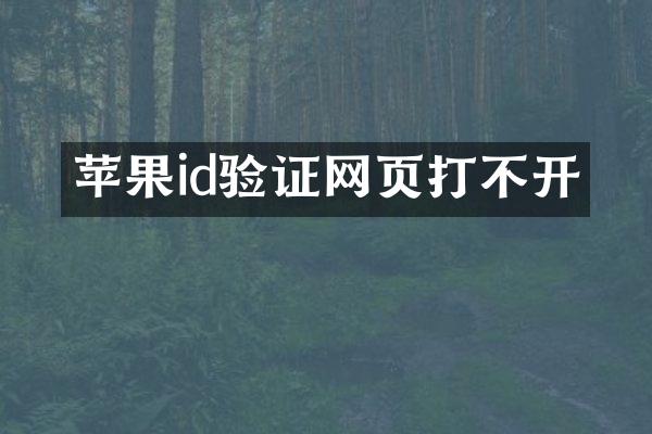 苹果id验证网页打不开
