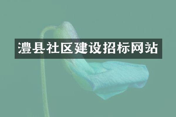 澧县社区建设招标网站