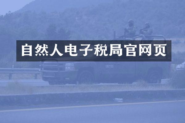 自然人电子税局官网页