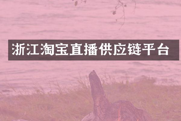 浙江淘宝直播供应链平台