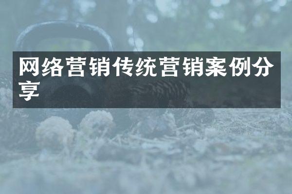 网络营销传统营销案例分享