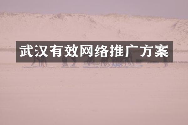 武汉有效网络推广方案