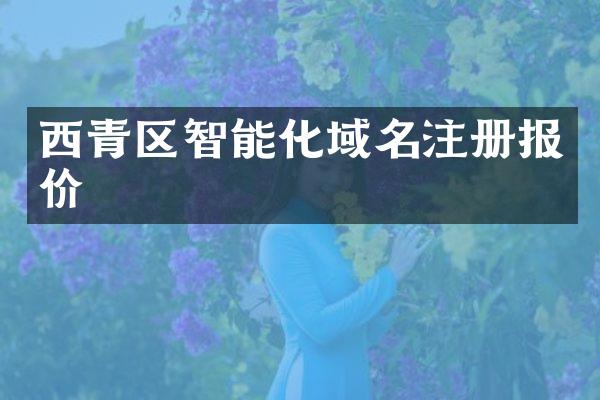 西青区智能化域名注册报价
