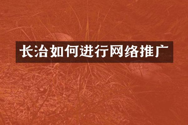 长治如何进行网络推广