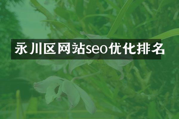 永川区网站seo优化排名