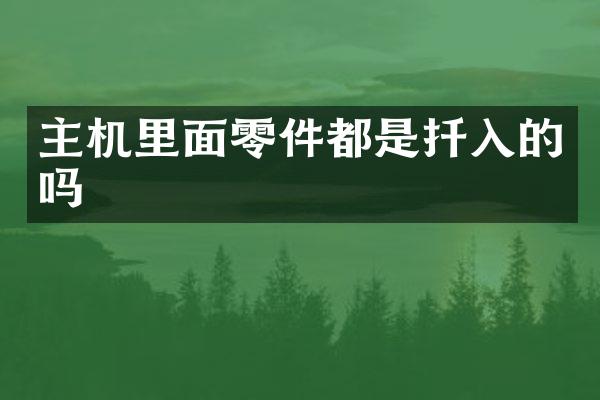 主机里面零件都是扦入的吗
