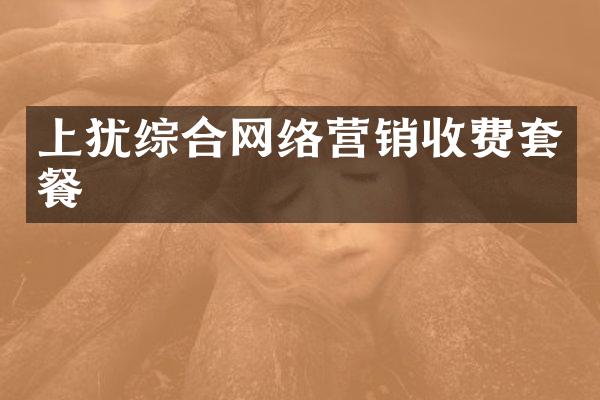 上犹综合网络营销收费套餐