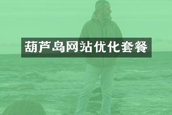 葫芦岛网站优化套餐