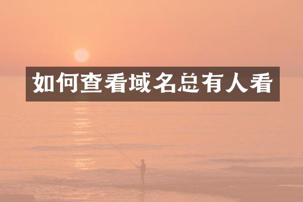 如何查看域名总有人看