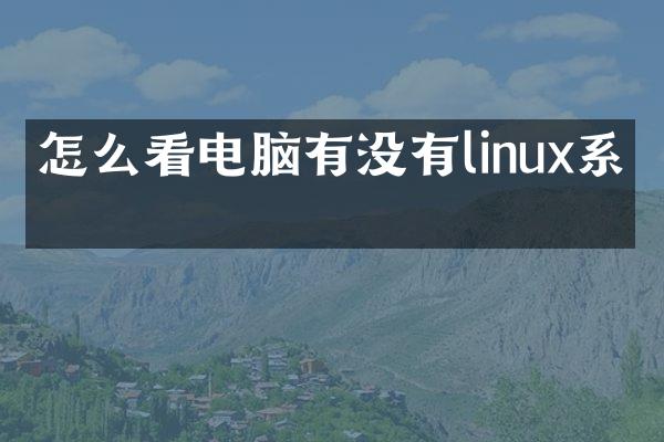 怎么看电脑有没有linux系统