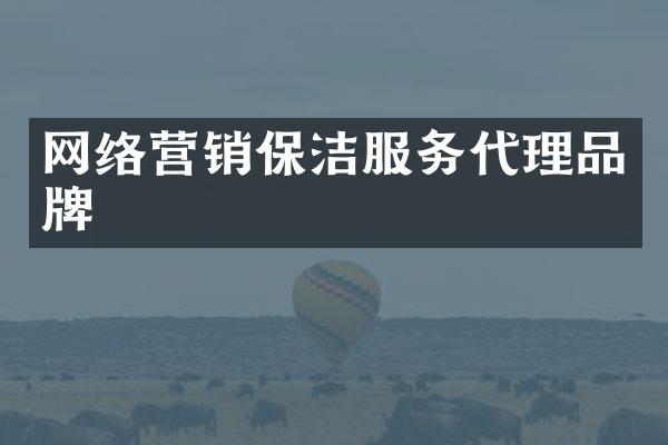 网络营销保洁服务代理品牌