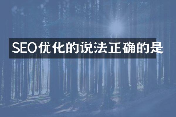 SEO优化的说法正确的是