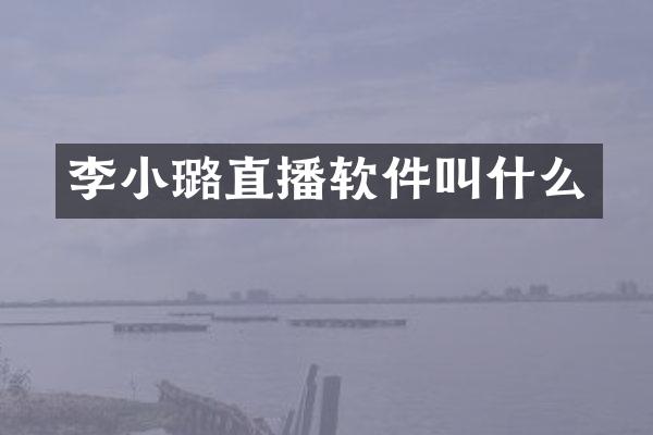李小璐直播软件叫什么
