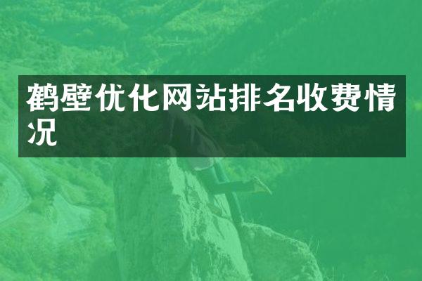 鹤壁优化网站排名收费情况