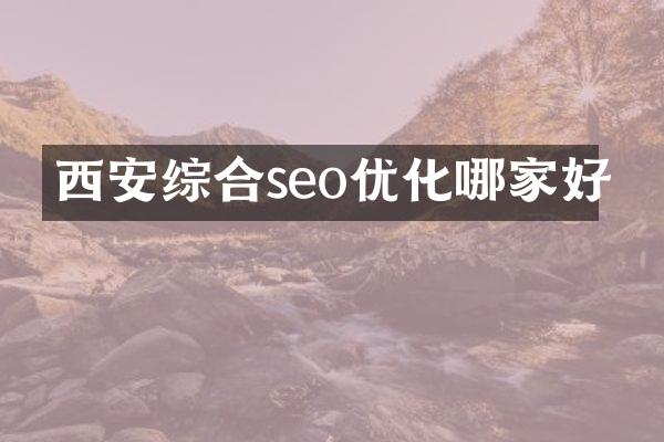 西安综合seo优化哪家好