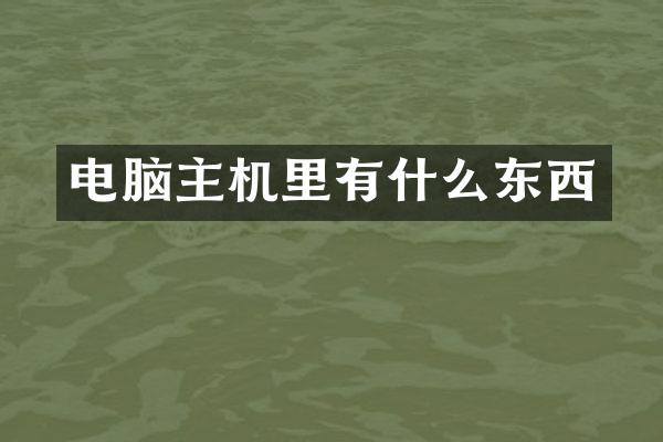 电脑主机里有什么东西