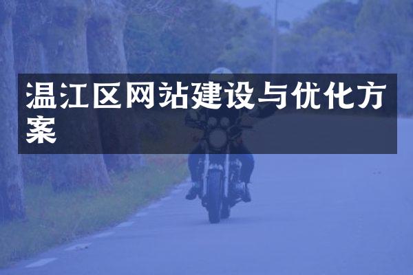 温江区网站建设与优化方案