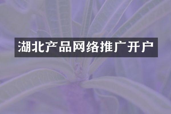 湖北产品网络推广开户