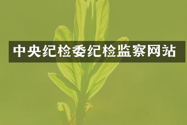 中央纪检委纪检监察网站