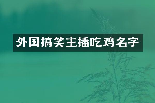 外国搞笑主播吃鸡名字