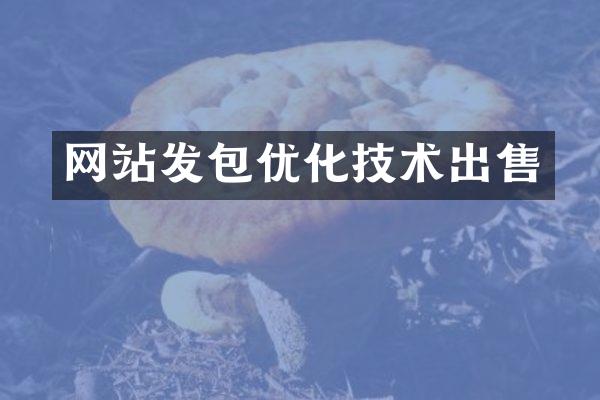 网站发包优化技术出售