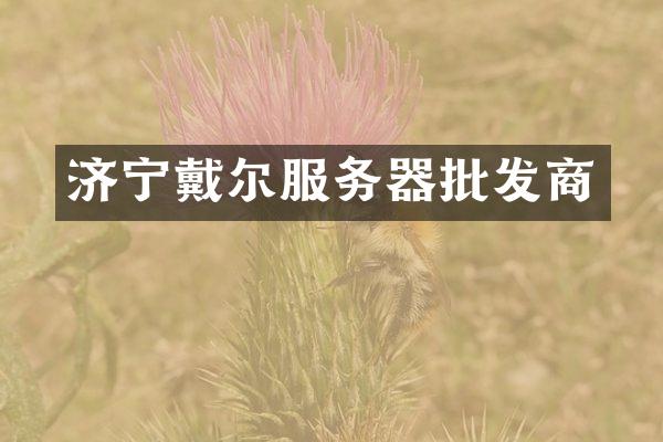 济宁戴尔服务器批发商