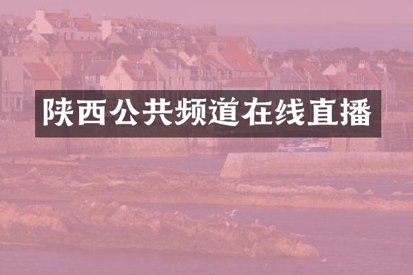 陕西公共频道在线直播