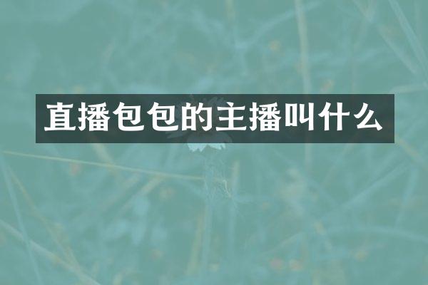直播包包的主播叫什么