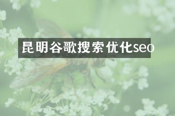 昆明谷歌搜索优化seo