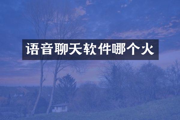 语音聊天软件哪个火