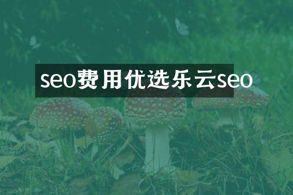 seo费用优选乐云seo