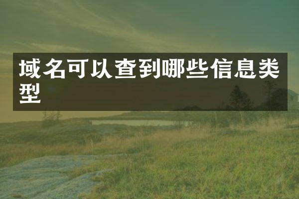 域名可以查到哪些信息类型