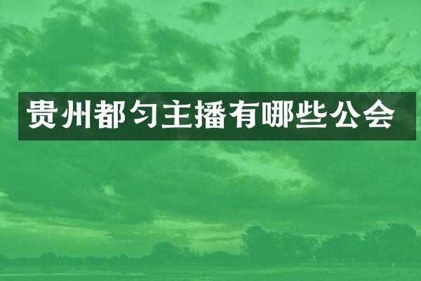 贵州都匀主播有哪些公会