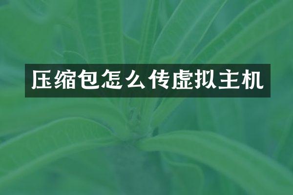 压缩包怎么传虚拟主机