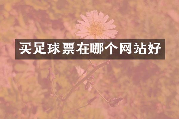 买足球票在哪个网站好