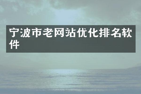宁波市老网站优化排名软件