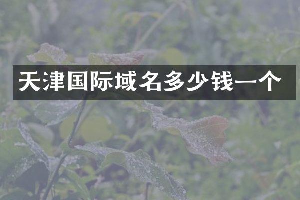 天津国际域名多少钱一个