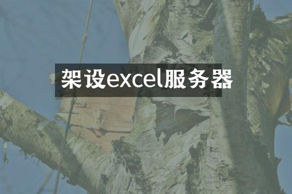 架设excel服务器