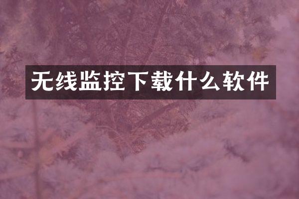 无线监控下载什么软件