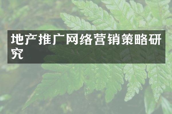 地产推广网络营销策略研究