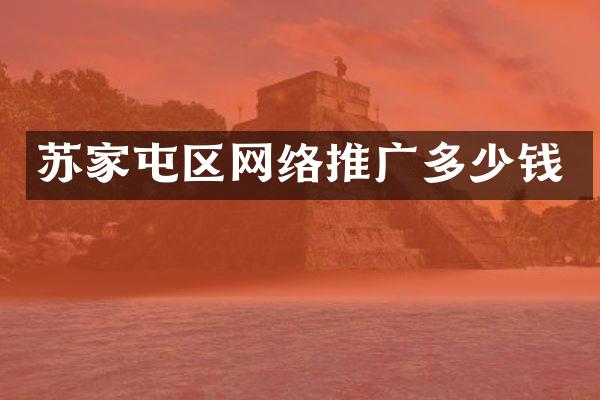 苏家屯区网络推广多少钱