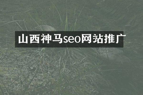 山西神马seo网站推广