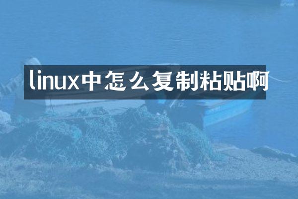 linux中怎么复制粘贴啊