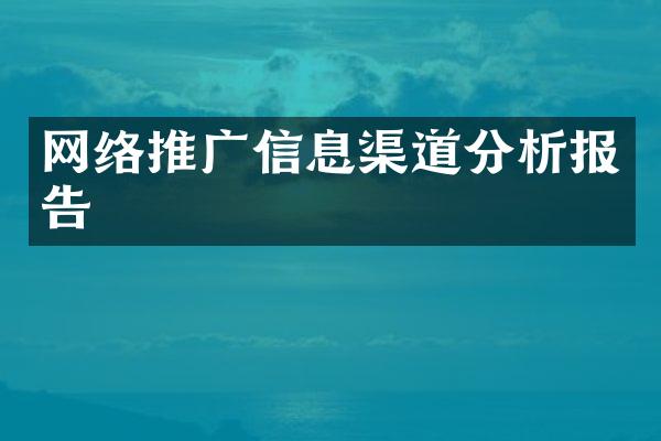 网络推广信息渠道分析报告