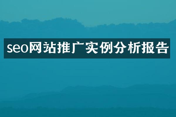 seo网站推广实例分析报告