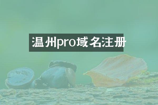 温州pro域名注册