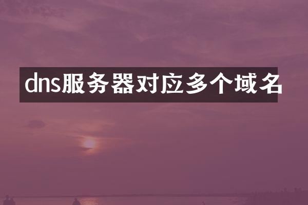 dns服务器对应多个域名