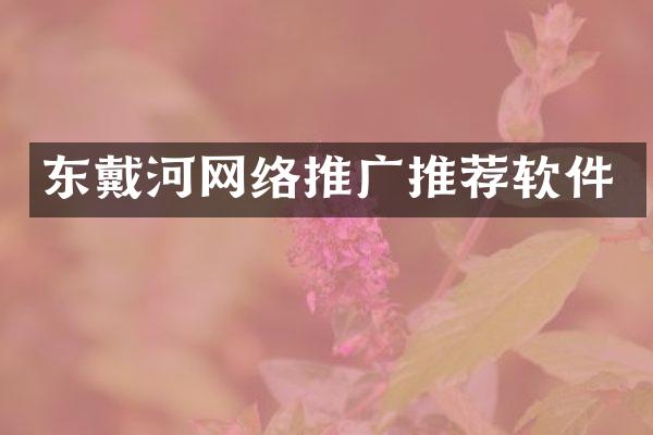 东戴河网络推广推荐软件