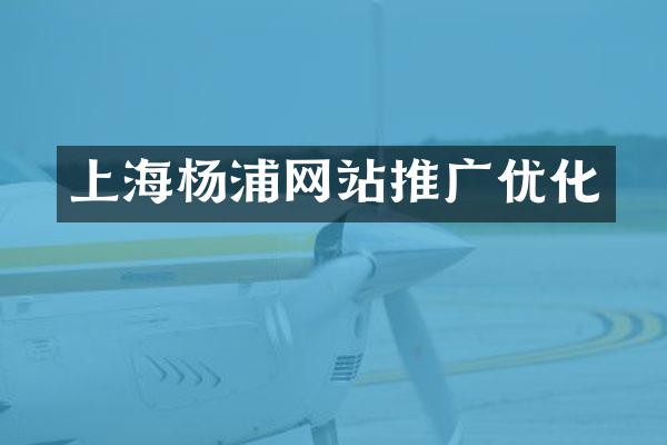 上海杨浦网站推广优化