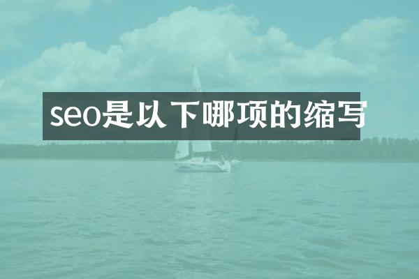 seo是以下哪项的缩写